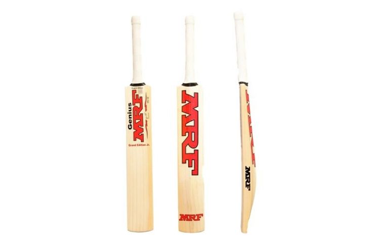 Top 10 Best Affordable Cricket Bats In The World (2024)